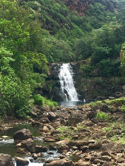 Wonderful Wahiawa: Exploring The Gems Of Hawaii | QuartzMountain