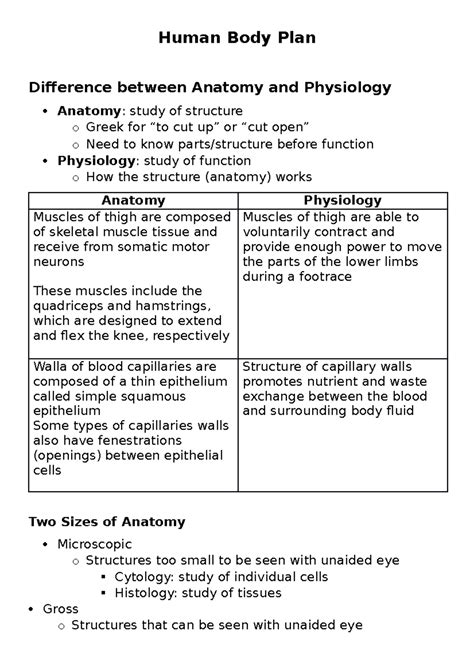 Human Body Plan - Human Body Plan Difference between Anatomy and Physiology Anatomy : study of ...