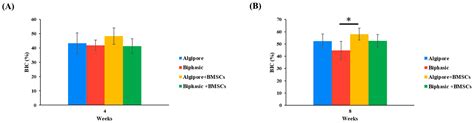 Osseointegration Potential Assessment of Bone Graft Materials Loaded ...