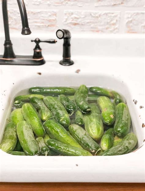 The Ultimate Guide to Canning Vegetable Soup - Lewis Acres Homestead