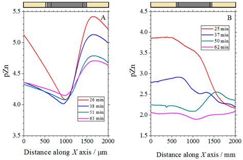 Contributions of Microelectrochemical Scanning Techniques for the ...