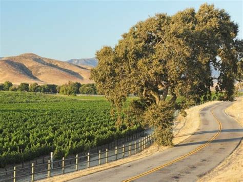 The 10 Best Santa Barbara Wineries & Wine Tours - California Crossroads