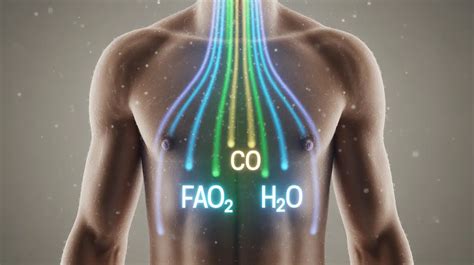 Process Body 的图像结果