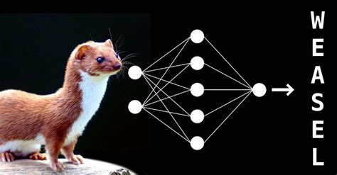 Image result for Vgg Algorithm