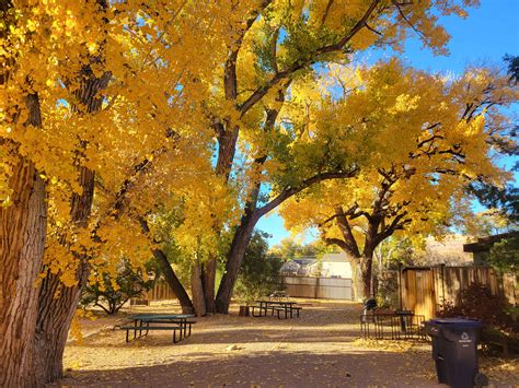 Up The Creek Campground - Hipcamp in Moab, Utah