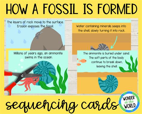 Image result for How Fossil Fuels Are Formed Chart Class 5