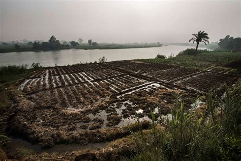 Nile River Valley Farming