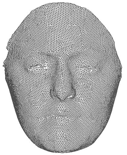 Image result for Face Mesh Texture