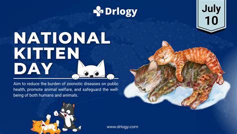 National Kitten Day July 10: History and Significance | Drlogy