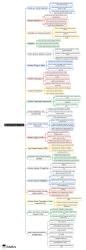 Nuclear Energy in India Mind Map - Assam Police Constable PDF Download
