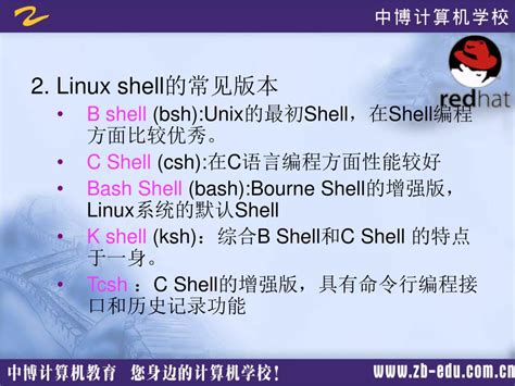 Shell Basics 的图像结果
