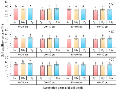 Soil Physicochemical Properties and Carbon Storage Reserve Distribution ...