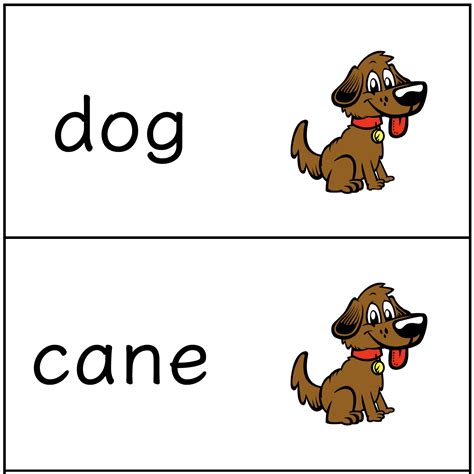 Italian Animals Flash Cards - Complete Set - Language Teacher Resources