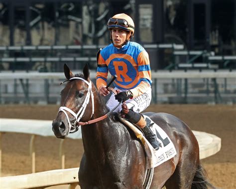 Champion Jockey Irad Ortiz Jr. Shifts Tack to Kentucky | News ...