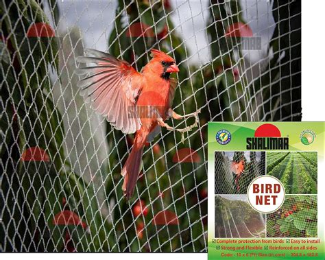 Shalimar Bird Net/Anti Bird Net/Pigeon Net/Garden Net/Bird Control Net ...