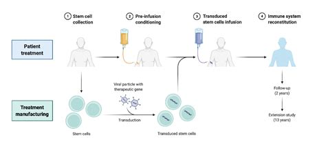 Gene Therapy 的图像结果