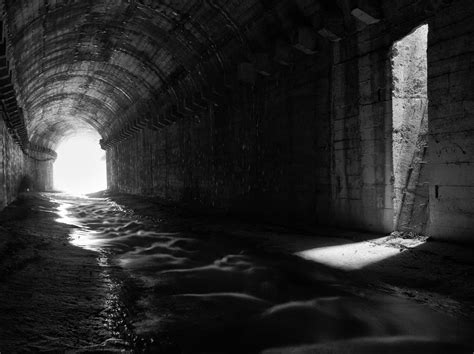 The Story of the Odyssey