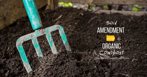 Compost/Soil 的图像结果