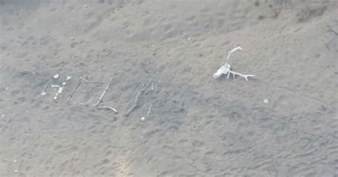 Woman lost 9 days in Arizona forest wrote 'help' in sticks | FOX 13 ...
