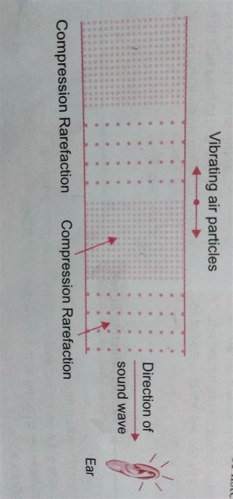 explain how sound is produced and detected through a diagram. - Brainly.in