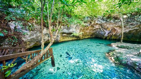 The complete guide to cenote hopping in Tulum - Bookaway