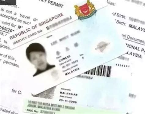 新加坡电子签证你能看懂多少