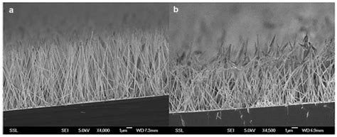 ZnO Nano-Rod Devices for Intradermal Delivery and Immunization