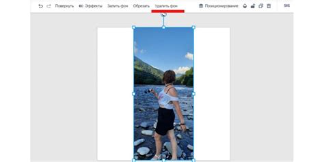 2 способа быстро убрать фон с картинки онлайн: на компьютере и с ...