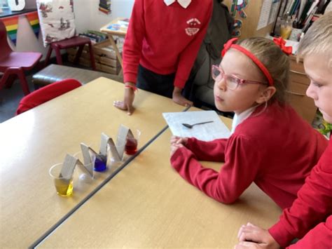 Primary School Science 的图像结果