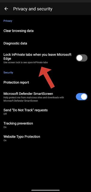 Image result for Edge Inprivate Android Icon