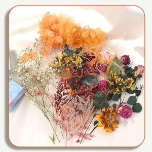 BRIGHTAIL INFRA Natural Real Dried Flowers for Art Craft Mixed Soap ...