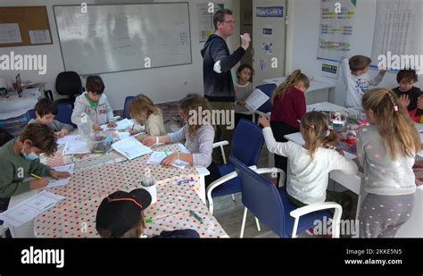 English Learning Program 的图像结果