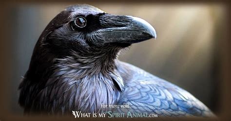 Unraveling the Raven’s Enigmatic Symbolism in Native American Legends