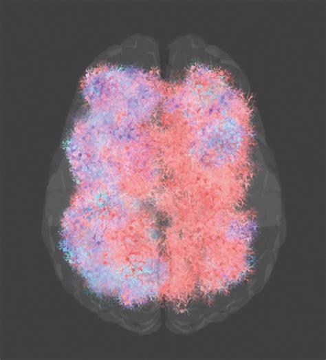 India's crypto art king mines the future | GQ India