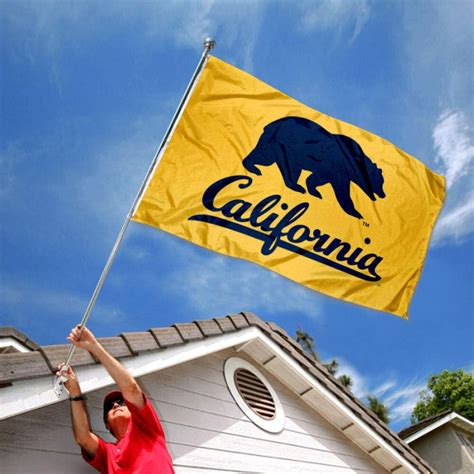 Buy College Flags & Banners Co. Cal Berkeley Golden Bears Walking Bear ...