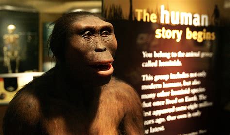 Unraveling the Mystery of Human Bipedality – SAPIENS