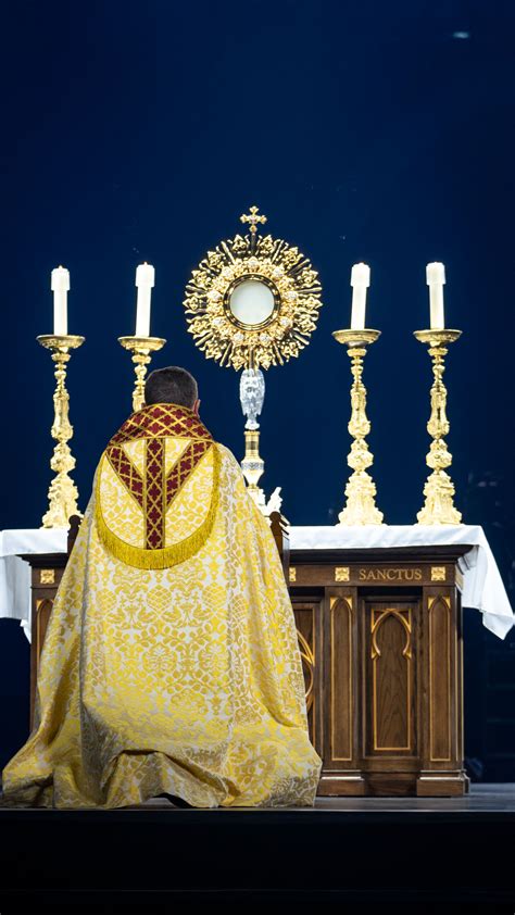 Holy Relics 的图像结果