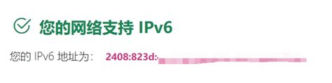 Image result for IPv6 Options