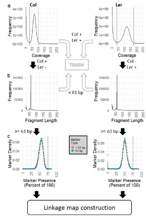 Intermediate Data Format Data Format Validation 的图像结果