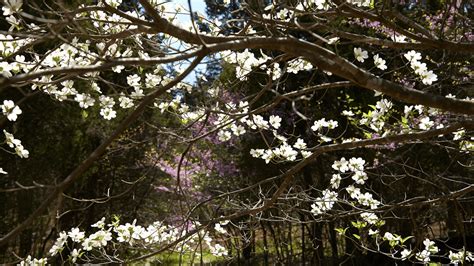 Broad Run Park | The Parklands of Floyds Fork