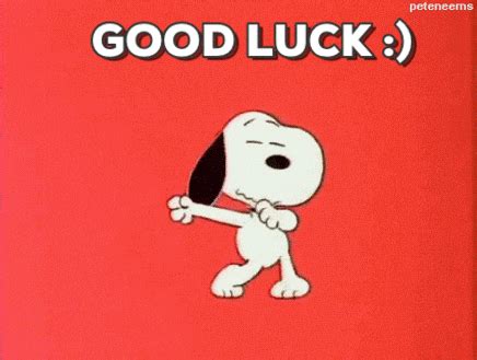 Good Luck GIFs - Find & Share on GIPHY