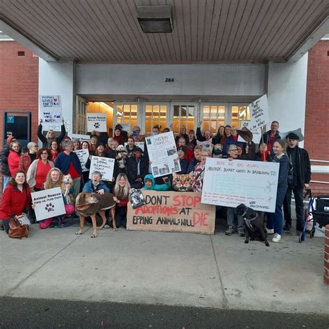 Save our pets: open the Epping Animal Welfare Facility to the public ...