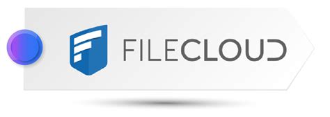 Secure Web File Sharing 的图像结果