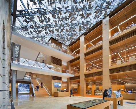 Library 的图像结果