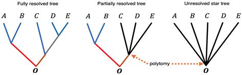 Effect of Polytomy on the Parameter Estimation and Goodness of Fit of ...