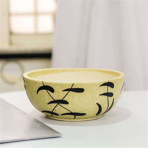 Buy Bonsai Planters online from Nurserylive at lowest price.