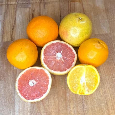 Zestful Possibilities: Different Ways to Use Your Juicing Oranges! - Seasonal Roots