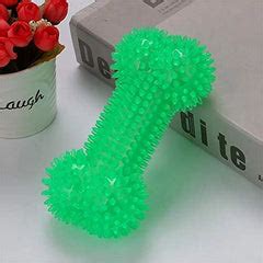Spiked Bone Chew Toy – dogtownindia