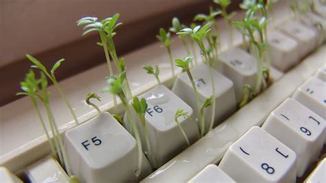 Image result for Unix Make Love