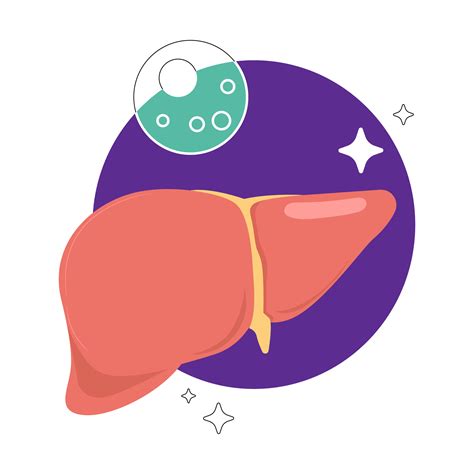 Gamma-Glutamyl Transpeptidase (GGT) Test: Normal Range, Procedure